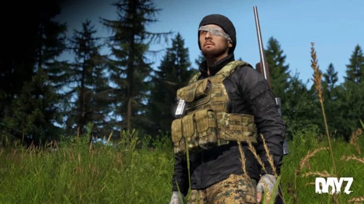 When is the DayZ Server Wipe?